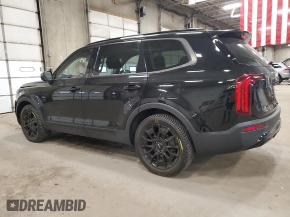 2022 Kia Telluride SX with VIN 5XYP5DHC1NG282155, listed as a Copart auction lot 53046715 with 43,921 mi miles and Salvage title. Bid and sale history available at DreamBid. Image 2.