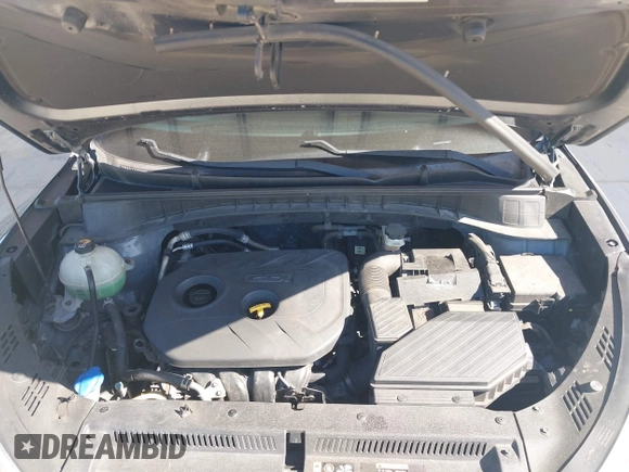 2017 Hyundai Tucson SE with VIN KM8J33A4XHU438510, listed as a IAAI auction lot 42021812 with 117,848 mi miles. Bid and sale history available at carsss.com. Image 10.