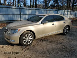 2009 Lexus LS 460 with VIN JTHBL46F695089980, listed as a Copart auction lot 87813765 with 132,236 mi miles and Salvage Title. Bid and sale history available at carsss.com. Image 1.