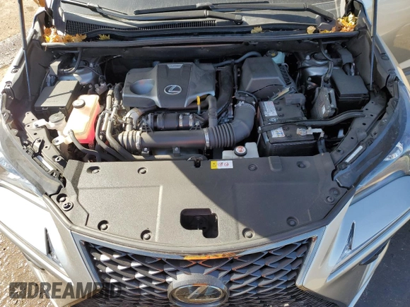 2018 Lexus NX with VIN JTJBARBZ8J2175024, listed as a Copart auction lot 44782455 with 33,316 mi miles and Salvage Title. Bid and sale history available at carsss.com. Image 12.