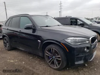 2016 BMW X5 M with VIN 5YMKT6C53G0R78343, listed as a Copart auction lot 53502584 with 123,914 mi miles. Bid and sale history available at carsss.com. Image 4.