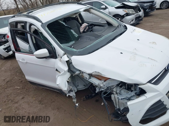 2014 Ford Escape SE with VIN 1FMCU9G9XEUA44349, listed as a IAAI auction lot 41738787 with 54,909 mi miles. Bid and sale history available at carsss.com. Image 6.
