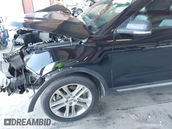 2017 Ford Explorer XLT with VIN 1FM5K7D83HGA69904, listed as a IAAI auction lot 41878052 with Not Provided miles and . Bid and sale history available at carsss.com. Image 18.
