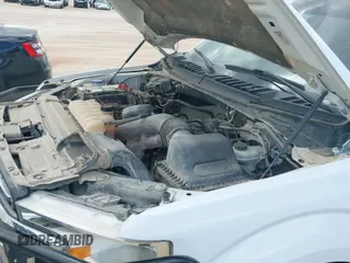 2019 Ford F-150 XL с VIN 1FTEW1E51KKC31690, выставлен на аукционе IAAI как лот 43265424 с пробегом 230 514 миль миль и . История ставок и продаж доступна на DreamBid. Изображение 19.