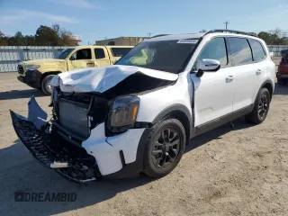 2024 Kia Telluride SX Prestige с VIN 5XYP5DGC7RG465289, выставлен на аукционе Copart как лот 83539324 с пробегом 15 536 миль миль и Списание • Salvage title. История ставок и продаж доступна на DreamBid. Изображение 1.