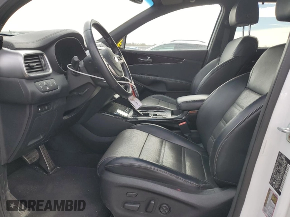 2019 Kia Sorento SX Limited with VIN 5XYPKDA55KG534456, listed as a Copart auction lot 46461045 with 65,259 mi miles and Salvage Title. Bid and sale history available at carsss.com. Image 7.