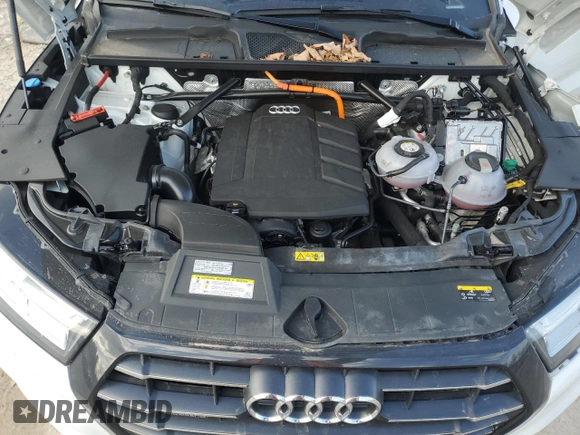 2020 Audi Q5 Premium Plus with VIN WA1E2AFYXL2056002, listed as a Copart auction lot 50502745 with 25,245 mi miles and Salvage title. Bid and sale history available at DreamBid. Image 12.