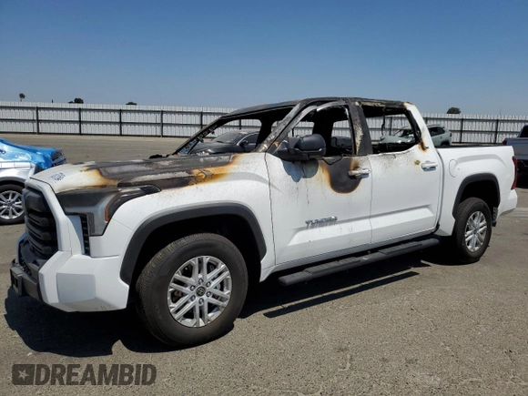 2024 Toyota Tundra 2WD SR5 with VIN 5TFLA5AB5RX035757, listed as a Copart auction lot 65075164 with 0 mi miles and Non Repairable. Bid and sale history available at carsss.com. Image 1.