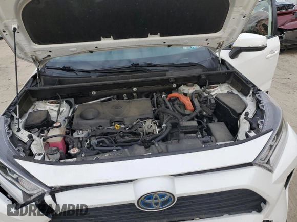 2019 Toyota RAV4 Hybrid XLE with VIN JTMRWRFV1KD004163, listed as a Copart auction lot 49701325 with 81,471 mi miles and Salvage Title. Bid and sale history available at carsss.com. Image 13.