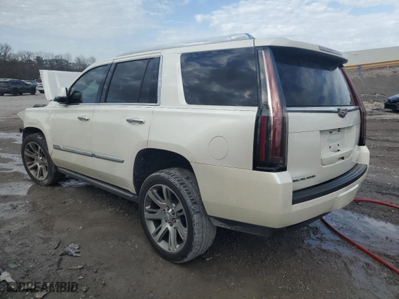 2015 Cadillac Escalade Premium with VIN 1GYS3NKJXFR569889, listed as a Copart auction lot 43554335 with 0 mi miles and Non Repairable. Bid and sale history available at carsss.com. Image 2.