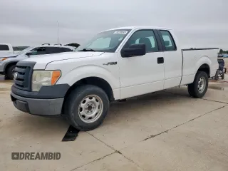 2009 Ford F-150 XLT with VIN 1FTRX12V39KC16105, listed as a Copart auction lot 59238065 with 185,293 mi miles and Salvage title. Bid and sale history available at DreamBid. Image 1.