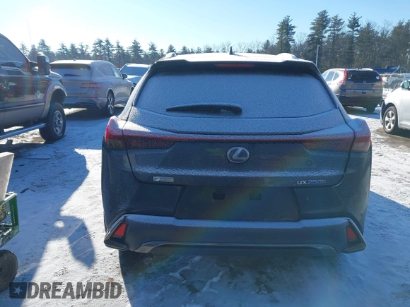 2021 Lexus UX with VIN JTHR9JBH8M2037134, listed as a IAAI auction lot 41352890 with 56,198 mi miles. Bid and sale history available at carsss.com. Image 17.