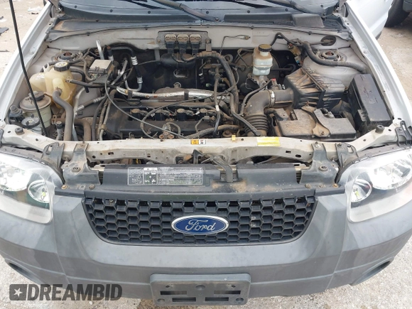 2005 Ford Escape XLS Value with VIN 1FMYU92Z05KB22565, listed as a IAAI auction lot 42277844 with 170,665 mi miles and . Bid and sale history available at DreamBid. Image 10.