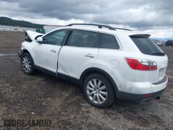 2010 Mazda CX-9 Touring with VIN JM3TB3MV1A0230587, listed as a IAAI auction lot 42152793 with 122,426 mi miles and . Bid and sale history available at carsss.com. Image 3.