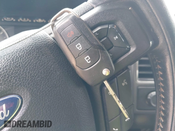 2017 Ford F-150 XL с VIN 1FTEW1EF6HFC35972, выставлен на аукционе IAAI как лот 42098293 с пробегом 218 205 миль миль и . История ставок и продаж доступна на DreamBid. Изображение 11.