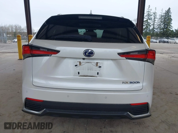 2020 Lexus NX 300h with VIN JTJDJRDZ7L2126356, listed as a IAAI auction lot 41905863 with 44,014 mi miles and . Bid and sale history available at DreamBid. Image 16.
