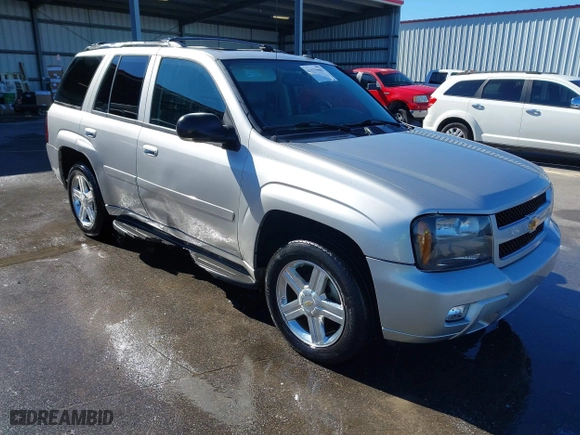2008 Chevrolet TrailBlazer LT w/1LT with VIN 1GNDS13S982258135, listed as a IAAI auction lot 41579981 with 206,245 mi miles. Bid and sale history available at carsss.com. Image 1.
