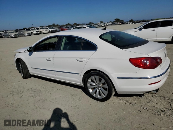 2010 Volkswagen CC with VIN WVWMP9AN1AE559959, listed as a Copart auction lot 76203974 with 188,396 mi miles and Salvage Title. Bid and sale history available at DreamBid. Image 2.