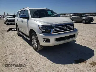 2019 Toyota Sequoia Platinum with VIN 5TDDY5G1XKS173918, listed as a Copart auction lot 45307304 with 63,343 mi miles. Bid and sale history available at carsss.com. Image 11.