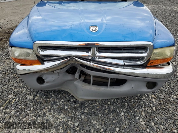 1998 Dodge Dakota SLT with VIN 1B7GG22Y2WS597545, listed as a Copart auction lot 70877014 with 261,522 mi miles and Salvage Title. Bid and sale history available at carsss.com. Image 12.