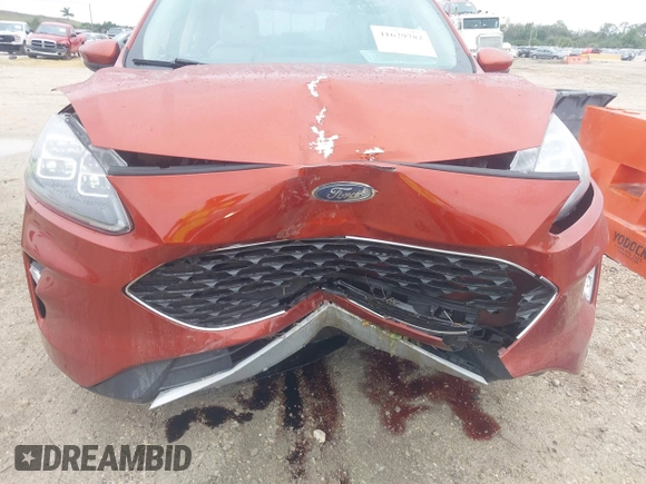 2020 Ford Escape Titanium Hybrid with VIN 1FMCU0DZ1LUB13684, listed as a IAAI auction lot 41629782 with 31,669 mi miles and . Bid and sale history available at DreamBid. Image 6.