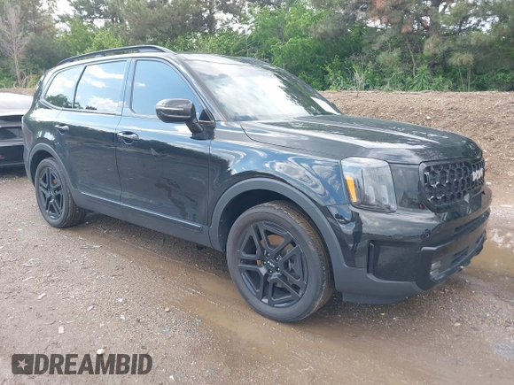 2024 Kia Telluride SX Prestige X-Pro с VIN 5XYP5DGC7RG409708, выставлен на аукционе IAAI как лот 42263269 с пробегом 24 658 миль миль и . История ставок и продаж доступна на DreamBid. Изображение 1.