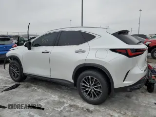 2024 Lexus NX 250 with VIN 2T2ADCAZ6RC010487, listed as a Copart auction lot 42030835 with 42,164 mi miles and Salvage title. Bid and sale history available at DreamBid. Image 2.