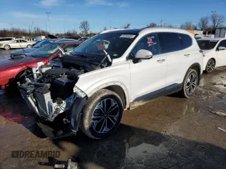 2020 Hyundai Santa Fe Limited with VIN 5NMS5CAA6LH273208, listed as a Copart auction lot 87245304 with 57,534 mi miles and Salvage Title. Bid and sale history available at carsss.com. Image 1.