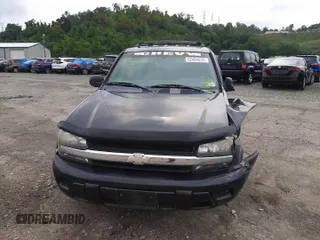 2006 Chevrolet TrailBlazer LS with VIN 1GNDT13S962203744, listed as a Copart auction lot 40953483 with 235,276 mi miles and Salvage Title. Bid and sale history available at DreamBid. Image 11.