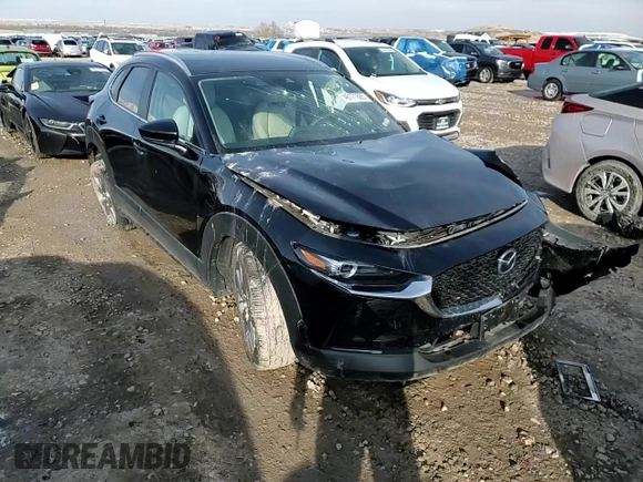 2023 Mazda CX-30 S Preferred with VIN 3MVDMBCM5PM523729, listed as a Copart auction lot 46171885 with 10,405 mi miles and Salvage title. Bid and sale history available at DreamBid. Image 11.