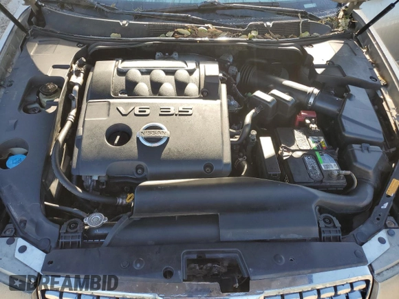 2005 Nissan Maxima 3.5 SL with VIN 1N4BA41E25C806926, listed as a Copart auction lot 76055734 with 163,131 mi miles and Salvage Title. Bid and sale history available at carsss.com. Image 11.