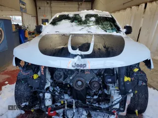 2020 Jeep Grand Cherokee Trailhawk with VIN 1C4RJFLT3LC247609, listed as a Copart auction lot 84491864 with 68,957 mi miles and Salvage title. Bid and sale history available at DreamBid. Image 5.