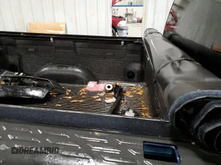 2009 Chevrolet Silverado 1500 Work Truck with VIN 1GCEC14X49Z204237, listed as a Copart auction lot 86647874 with Not Provided miles and Salvage Title. Bid and sale history available at DreamBid. Image 10.
