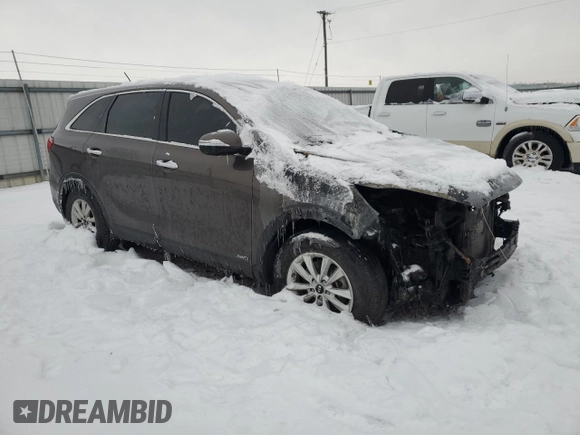 2019 Kia Sorento LX with VIN 5XYPGDA34KG463346, listed as a Copart auction lot 41461755 with Not Provided miles and Salvage Title. Bid and sale history available at DreamBid. Image 4.