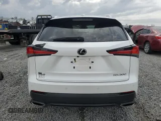 2020 Lexus NX 300 with VIN JTJGARDZ0L2218308, listed as a Copart auction lot 51863955 with 44,156 mi miles and Salvage Title. Bid and sale history available at DreamBid. Image 6.