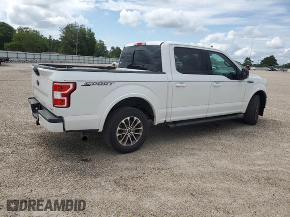 2019 Ford F-150 XL with VIN 1FTEW1CPXKFA75369, listed as a Copart auction lot 61735505 with 164,310 mi miles and Clean title. Bid and sale history available at DreamBid. Image 3.