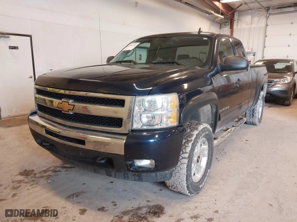2009 Chevrolet Silverado 1500 LT with VIN 1GCEK29099Z279603, listed as a IAAI auction lot 41746366 with 174,752 mi miles. Bid and sale history available at carsss.com. Image 12.