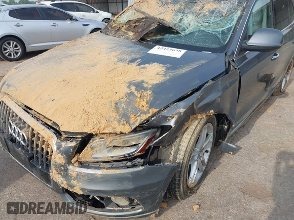 2015 Audi Q5 Premium Plus with VIN WA1LFAFP8FA064693, listed as a IAAI auction lot 42423638 with 122,177 mi miles and . Bid and sale history available at DreamBid. Image 6.