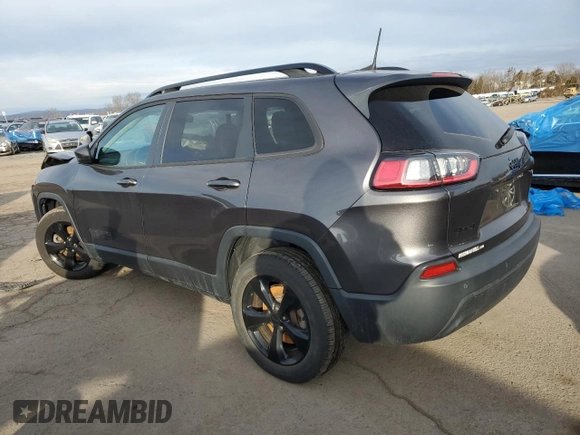 2020 Jeep Cherokee Altitude with VIN 1C4PJMLB5LD559704, listed as a Copart auction lot 45556575 with 46,269 mi miles and Salvage Title. Bid and sale history available at carsss.com. Image 2.