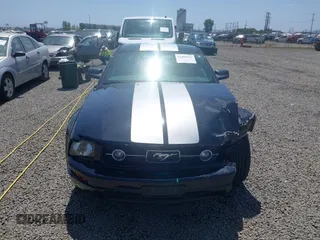2006 Ford Mustang Standard with VIN 1ZVFT80N065182187, listed as a IAAI auction lot 42453637 with Not provided miles and . Bid and sale history available at DreamBid. Image 13.