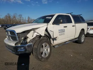2009 Dodge 1500 Sport z VIN 1D3HV18T69S813361, wystawiony jako Copart lot #42454305 z przebiegiem 275 658 mil mil oraz Szkoda całkowita • Salvage title. Historia ofert i sprzedaży dostępna na DreamBid. Obrazek 1.