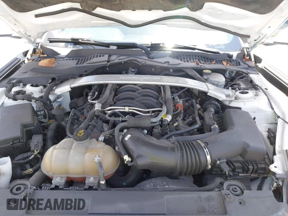 2019 Ford Mustang GT with VIN 1FA6P8CF6K5121986, listed as a IAAI auction lot 42150544 with 46,653 mi miles and . Bid and sale history available at DreamBid. Image 10.