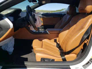 2019 BMW 8 Series M850i xDrive with VIN WBAFY4C54KBX29981, listed as a Copart auction lot 67390193 with 0 mi miles. Bid and sale history available at carsss.com. Image 7.