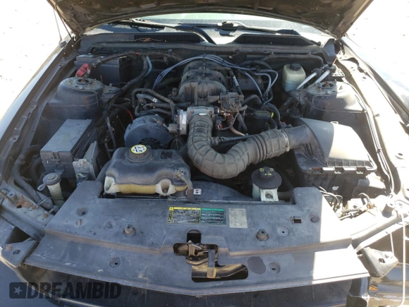 2005 Ford Mustang Deluxe with VIN 1ZVFT80N555244925, listed as a Copart auction lot 49692365 with 0 mi miles and Clean Title. Bid and sale history available at carsss.com. Image 12.