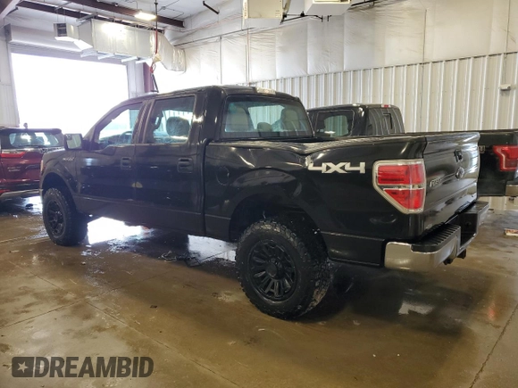 2013 Ford F-150 XL with VIN 1FTFW1EF4DFD78434, listed as a Copart auction lot 53124965 with 184,304 mi miles and Non Repairable. Bid and sale history available at carsss.com. Image 2.