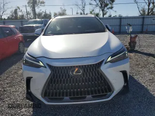 2025 Lexus NX with VIN 2T2GDCAZ1SC016522, listed as a Copart auction lot 86184694 with 729 mi miles and Salvage Title. Bid and sale history available at carsss.com. Image 5.