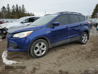 2013 Ford Escape SE with VIN 1FMCU0G96DUA22858, listed as a Copart auction lot 47043125 with 160,224 mi miles and Clean Title. Bid and sale history available at DreamBid. Image 1.