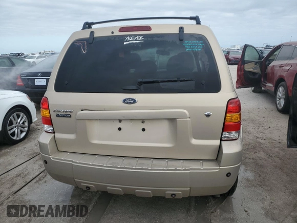 2007 Ford Escape Limited with VIN 1FMCU04177KA38291, listed as a Copart auction lot 75889204 with 119,519 mi miles and Non Repairable. Bid and sale history available at carsss.com. Image 6.