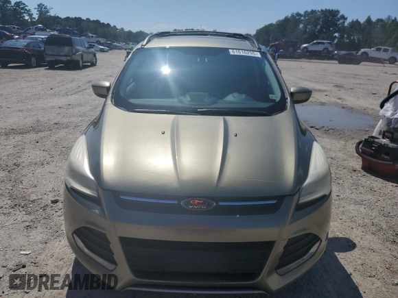 2013 Ford Escape SE with VIN 1FMCU0GX0DUD65115, listed as a Copart auction lot 61616295 with 175,375 mi miles and Salvage title. Bid and sale history available at DreamBid. Image 5.