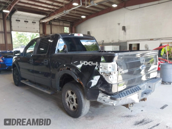 2011 Ford F-150 XL with VIN 1FTFW1EF7BKD04834, listed as a IAAI auction lot 42667086 with 222,607 mi miles and . Bid and sale history available at DreamBid. Image 3.